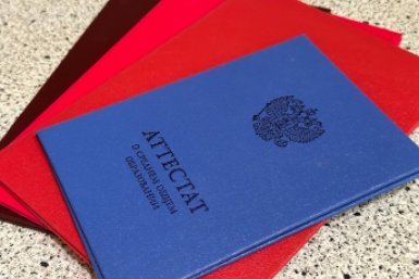 Аттестат вам выдали из жалости, если слету не ответите, ПРАВДА или ЛОЖЬ - школьный ТЕСТ ИА SochiMedia