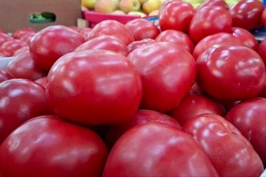 Выбираю эти сорта томатов — получаю щедрый урожай: помидоры крупные и мясистые, а вкус сладкий без кислинки фото автора