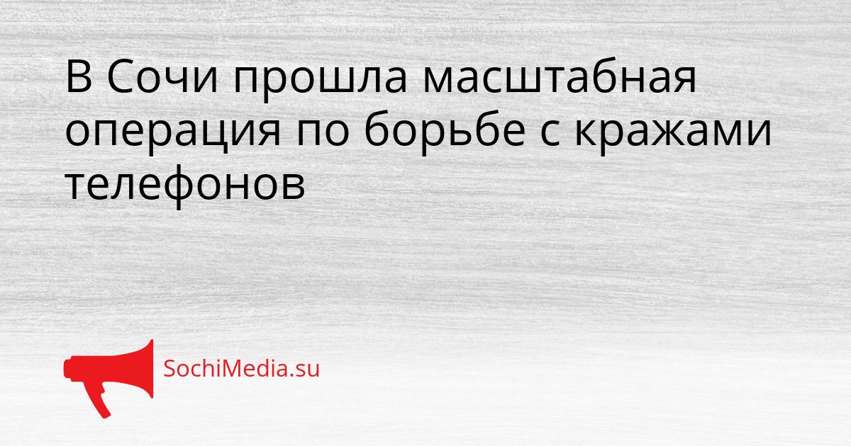 В Сочи прошла масштабная операция по борьбе с кражами телефонов Сгенерировано